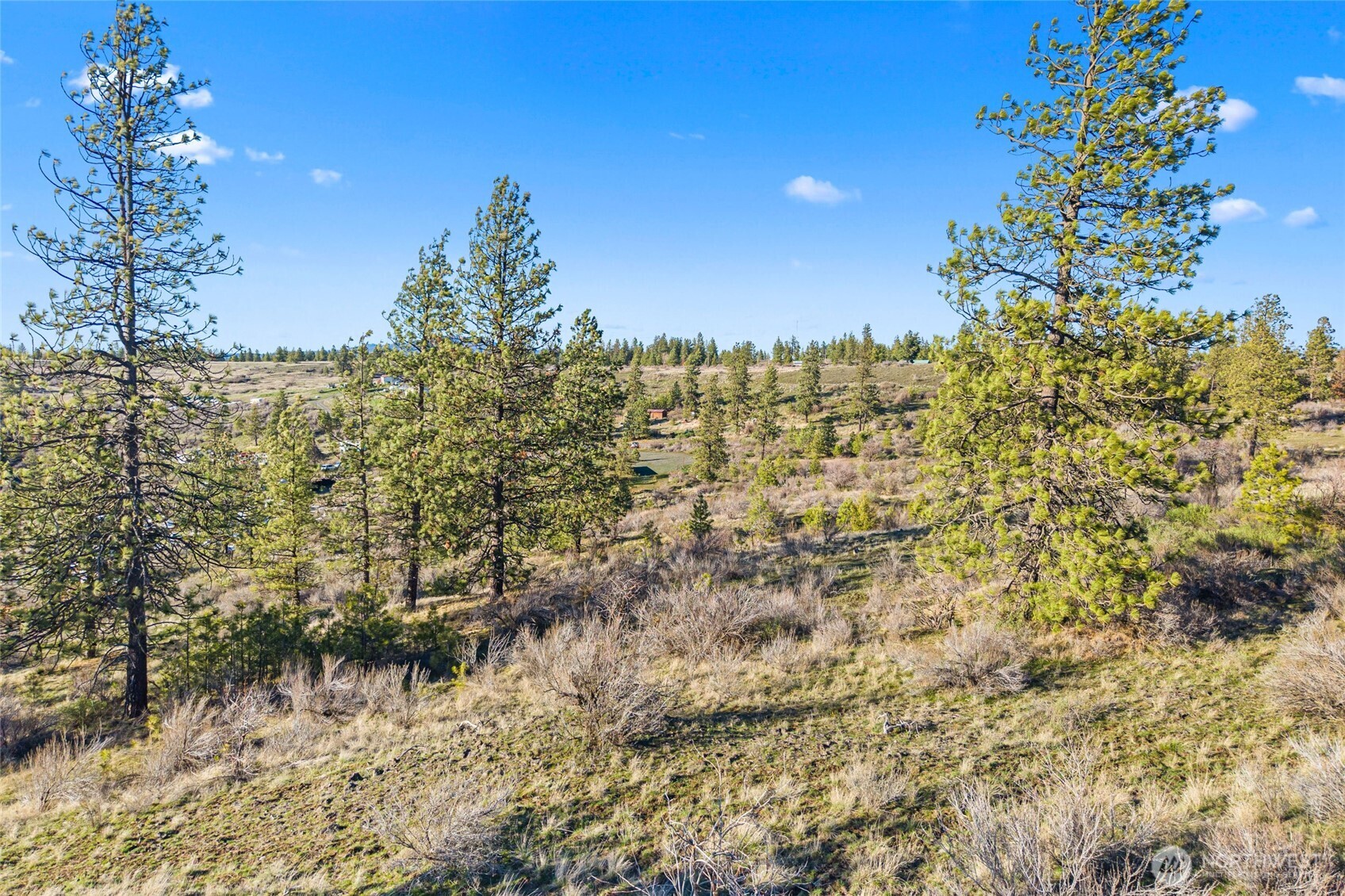 27220 Underwood Canyon Creston WA 99117