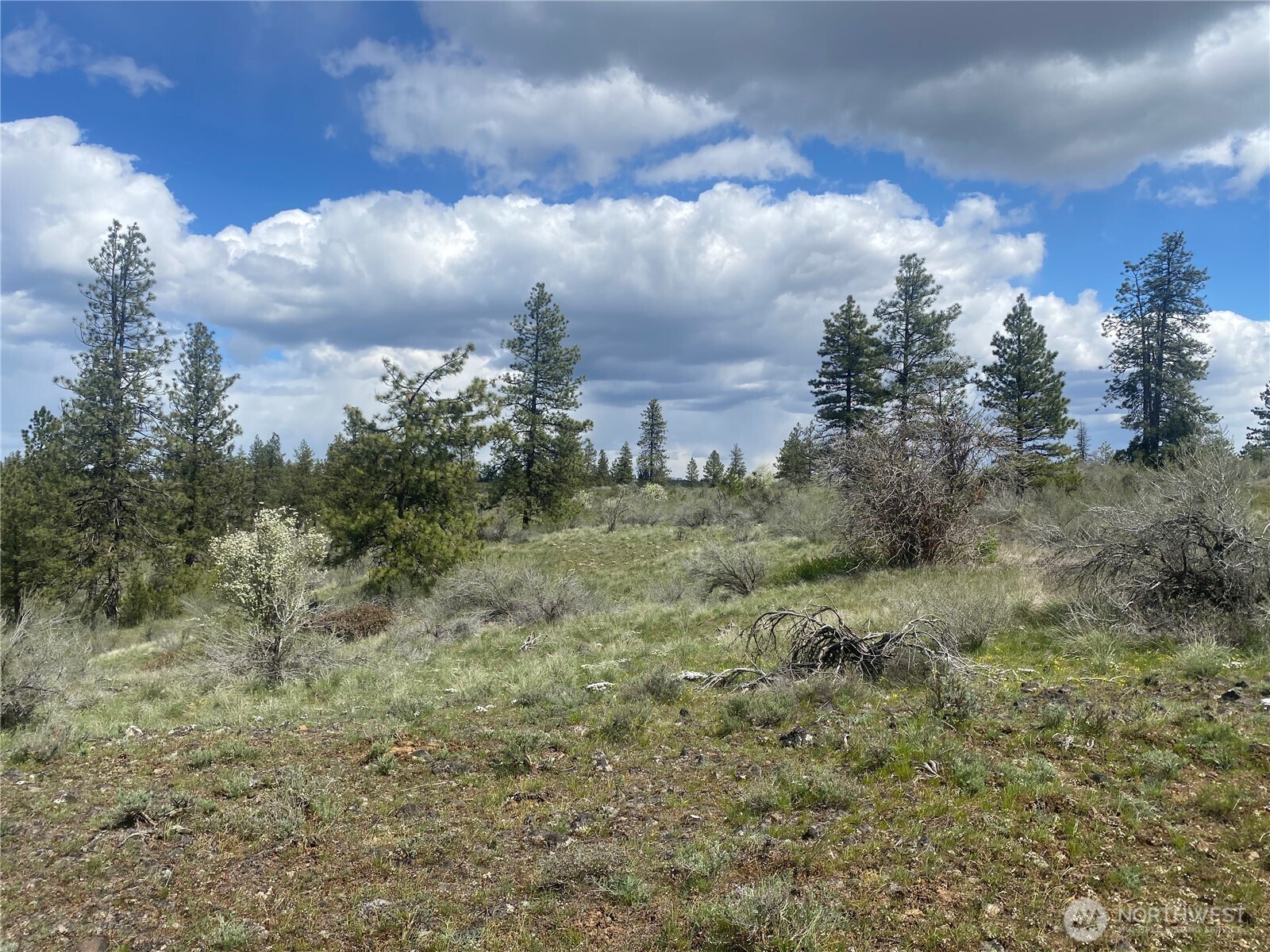 27220 Underwood Canyon Creston WA 99117