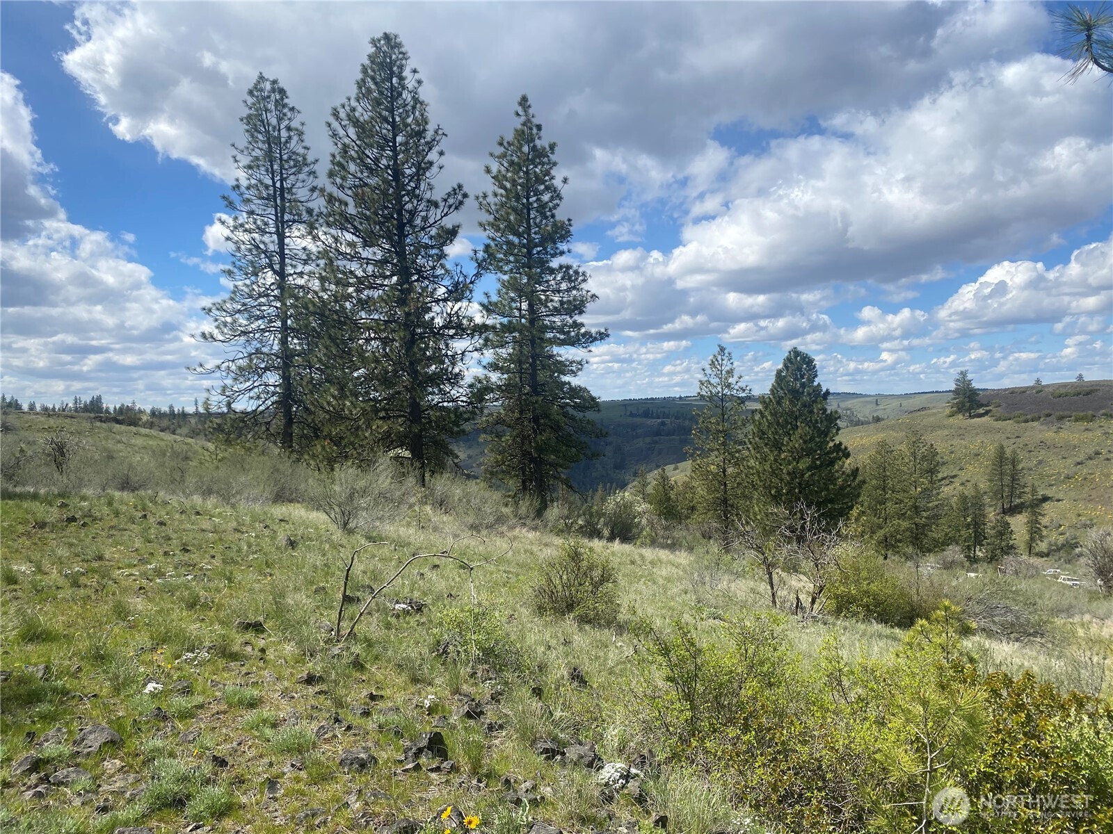27220 Underwood Canyon Creston WA 99117