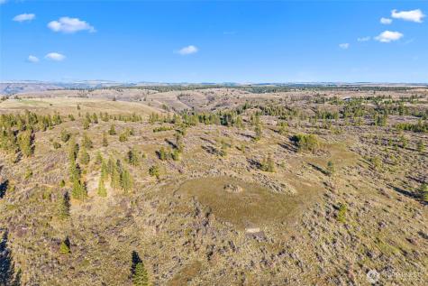 27220 Underwood Canyon Creston WA 99117