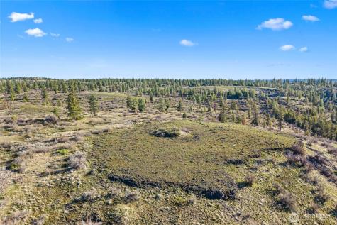 27220 Underwood Canyon Creston WA 99117