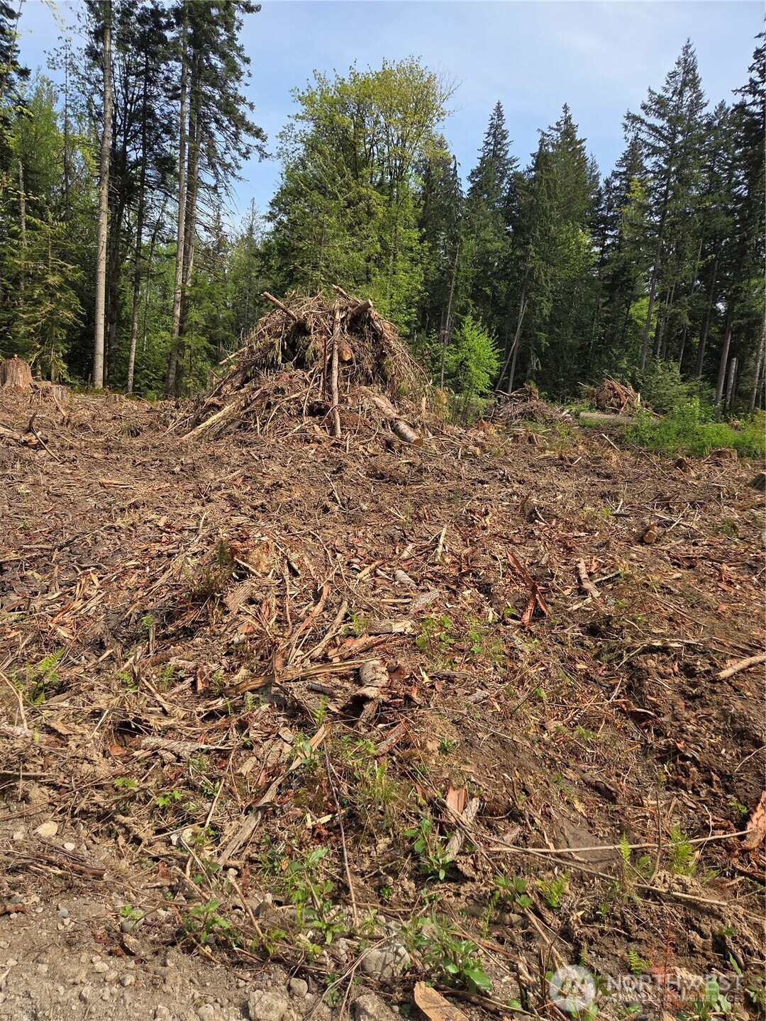 0 Kelly Road Bellingham WA 98226