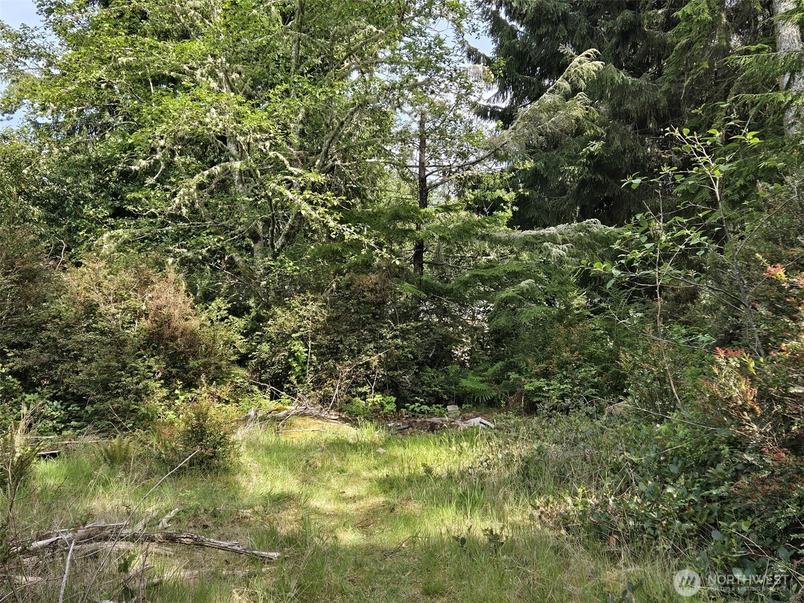27312 W Street Ocean Park WA 98640