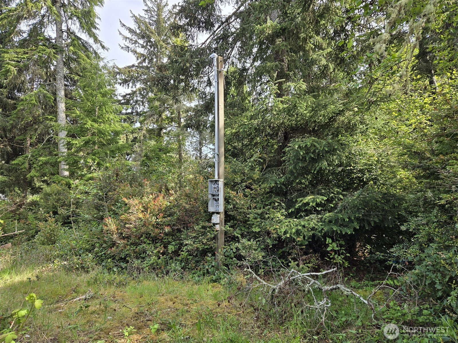 27312 W Street Ocean Park WA 98640