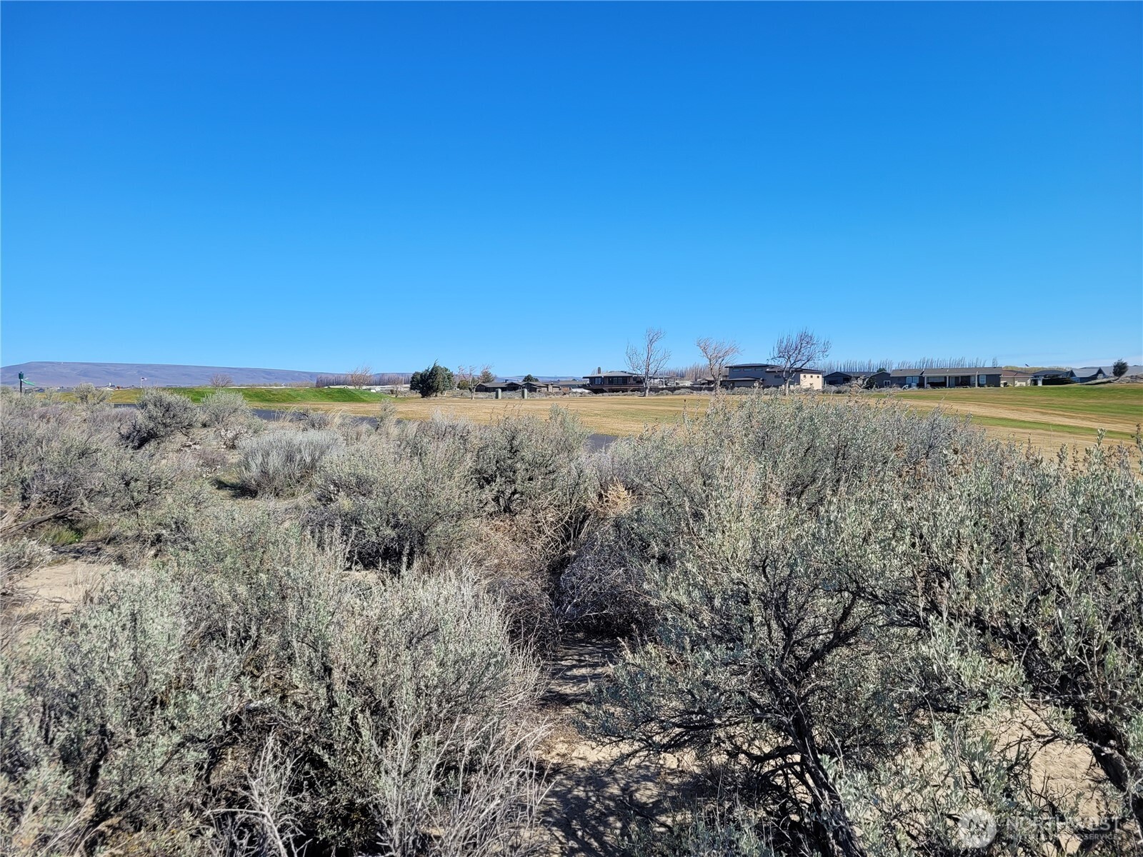 509 SW Desert Aire Drive SW Mattawa WA 99349