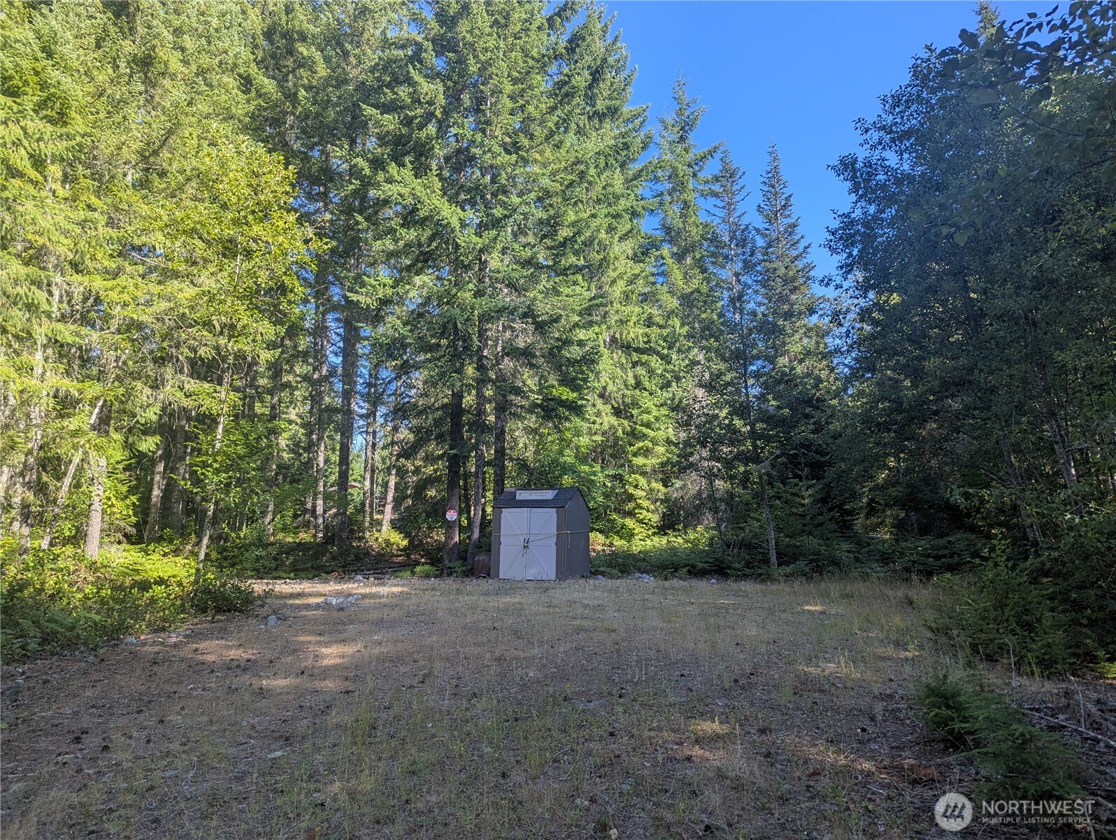 30 Nymark Drive Cougar WA 98616