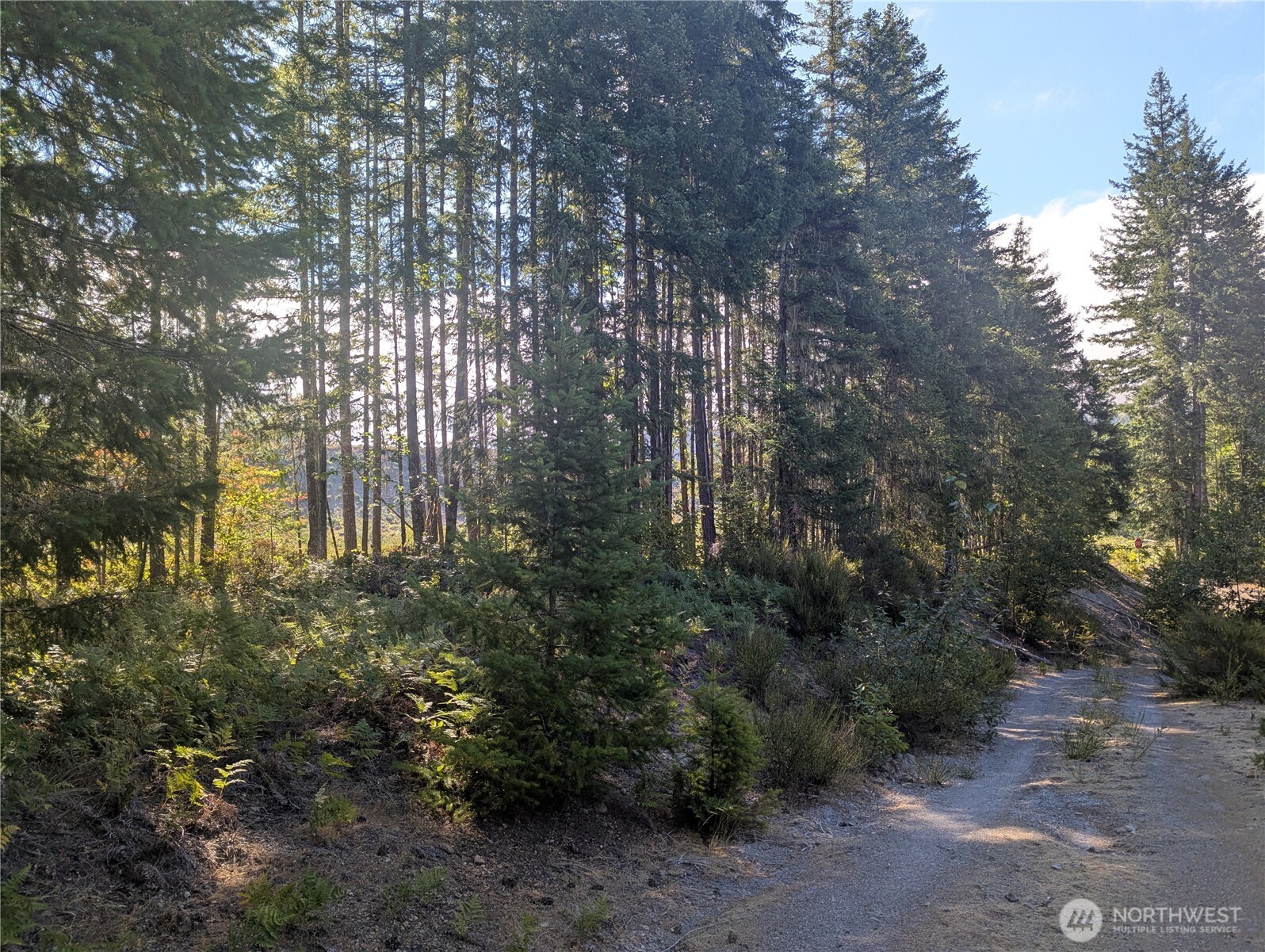 30 Nymark Drive Cougar WA 98616