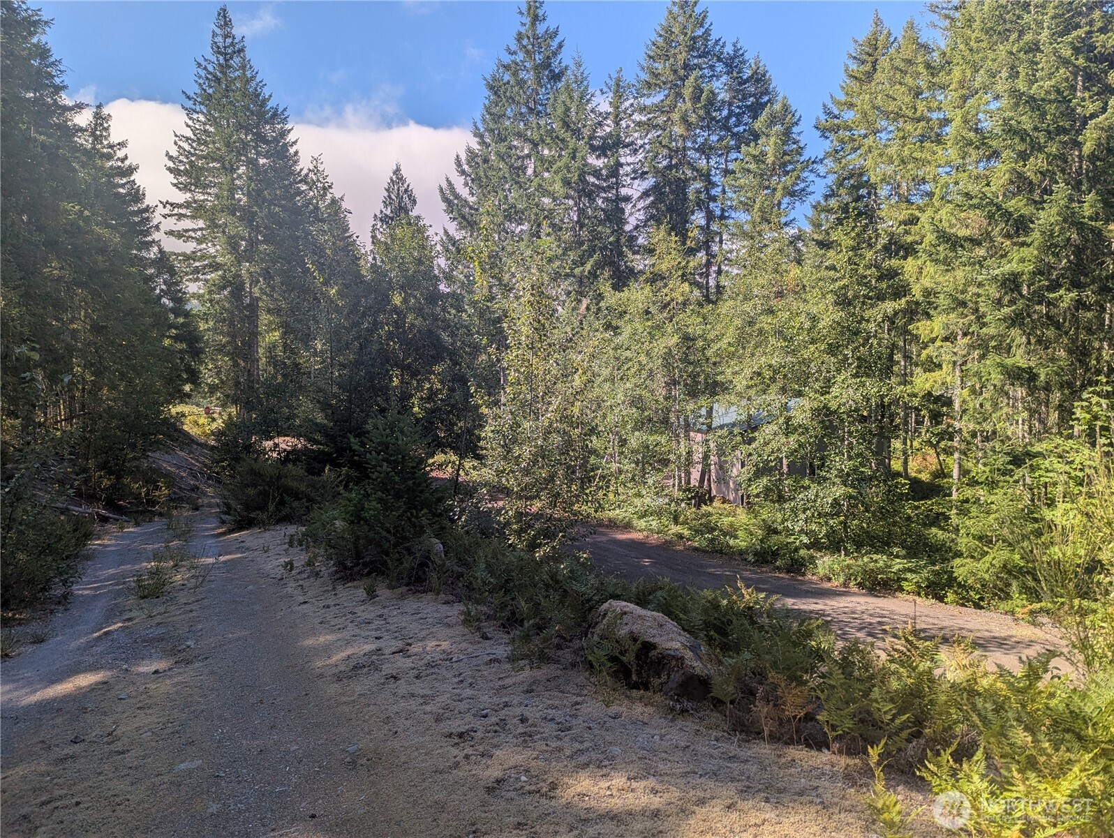 30 Nymark Drive Cougar WA 98616