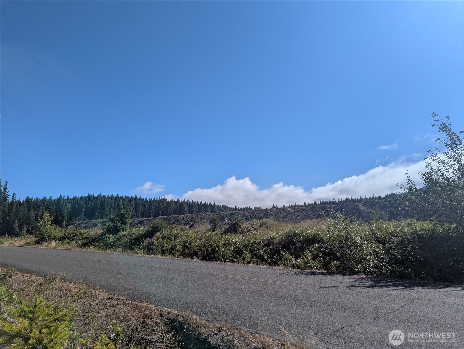 30 Nymark Drive Cougar WA 98616