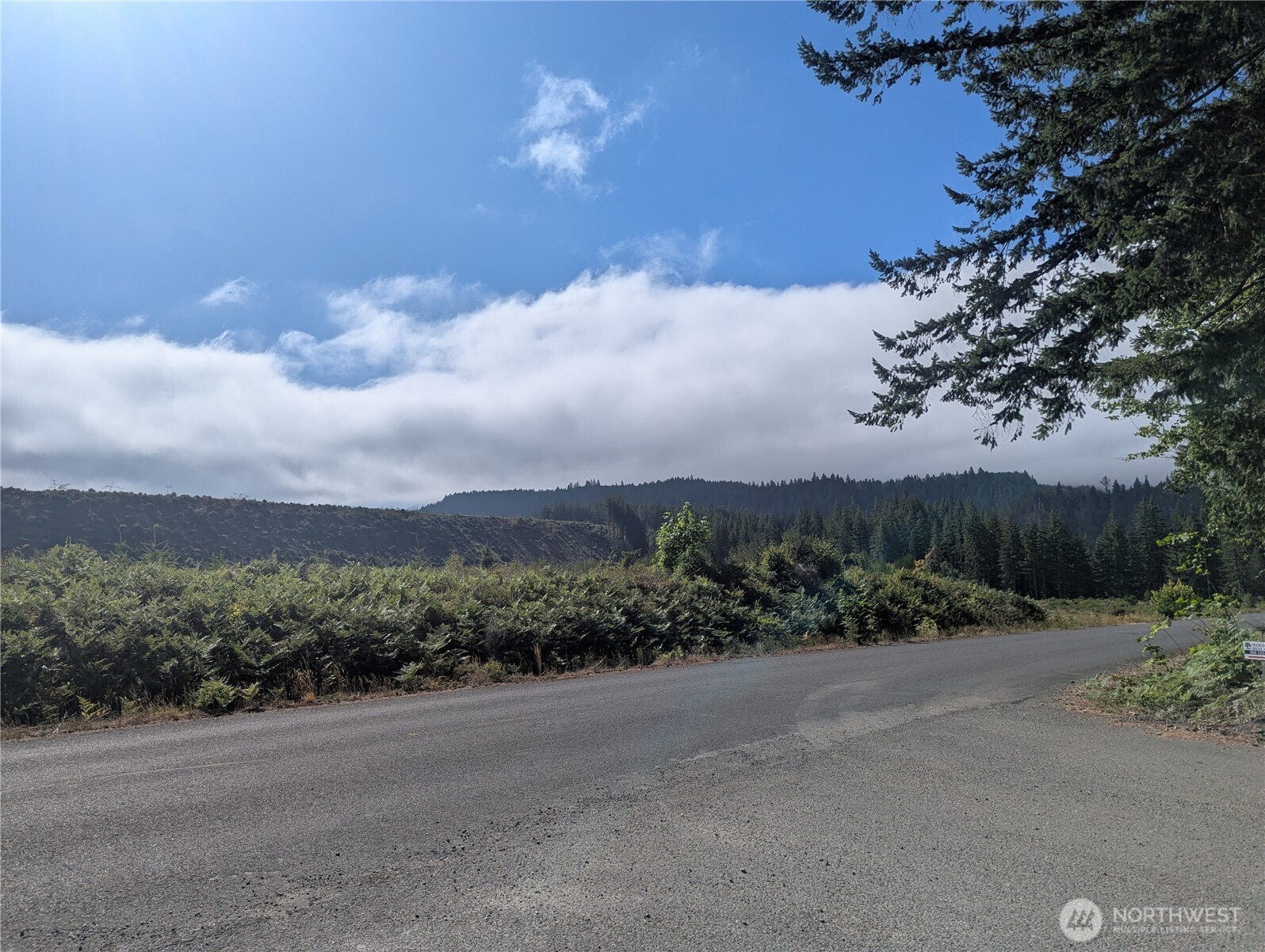 30 Nymark Drive Cougar WA 98616