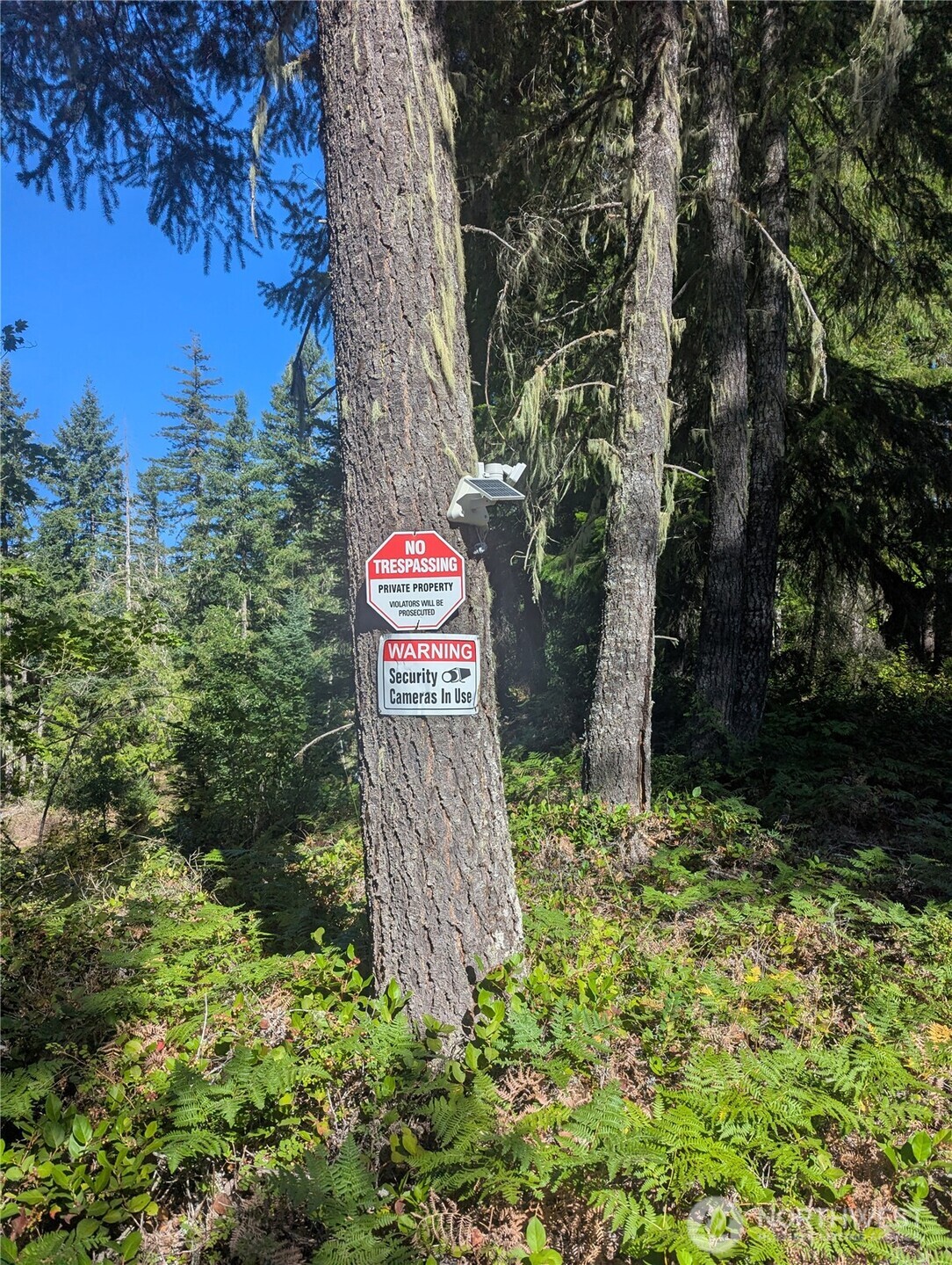 30 Nymark Drive Cougar WA 98616
