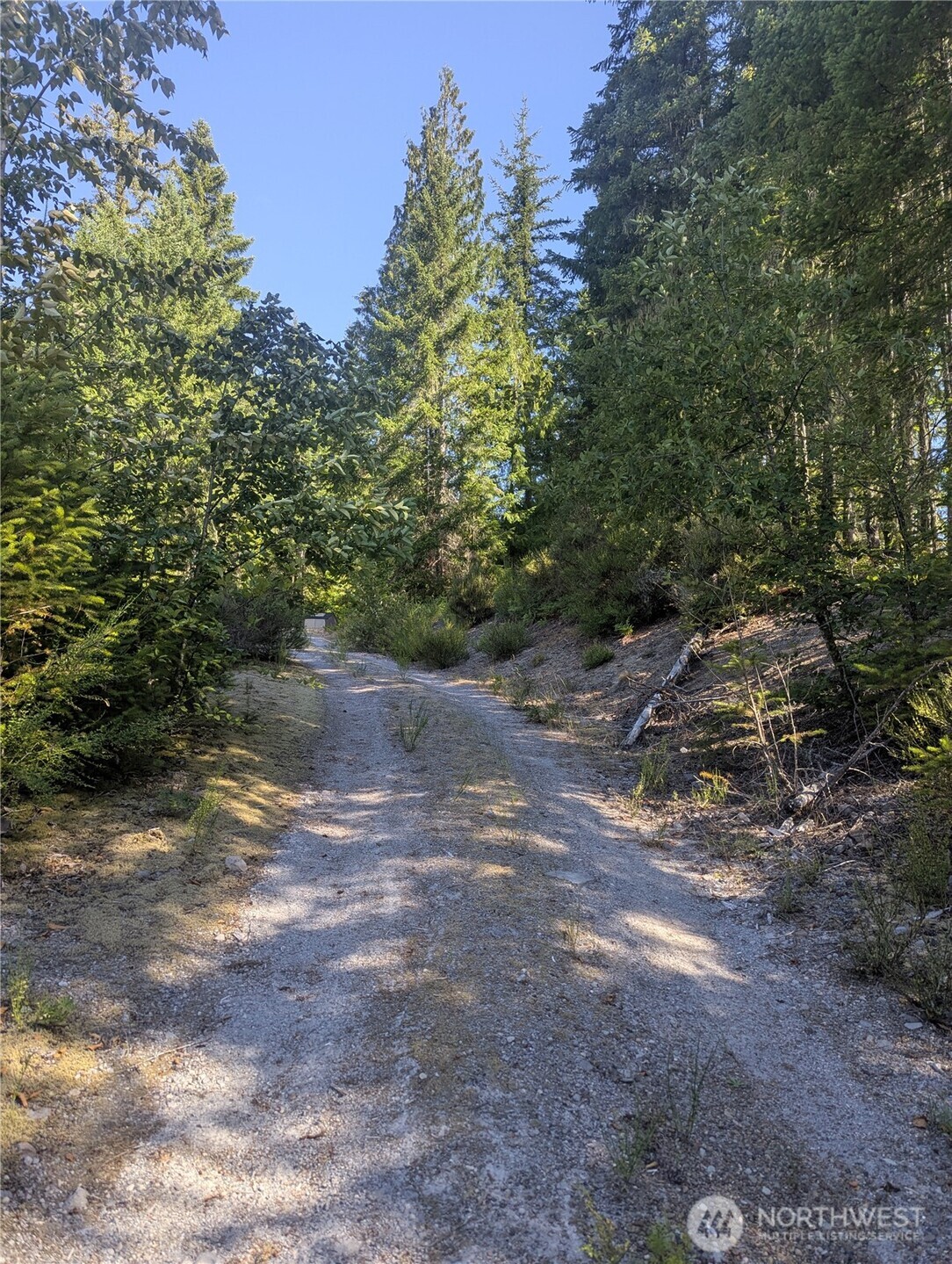 30 Nymark Drive Cougar WA 98616