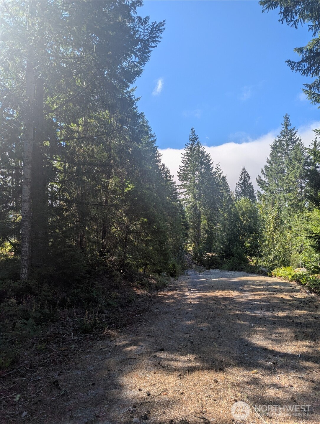 30 Nymark Drive Cougar WA 98616