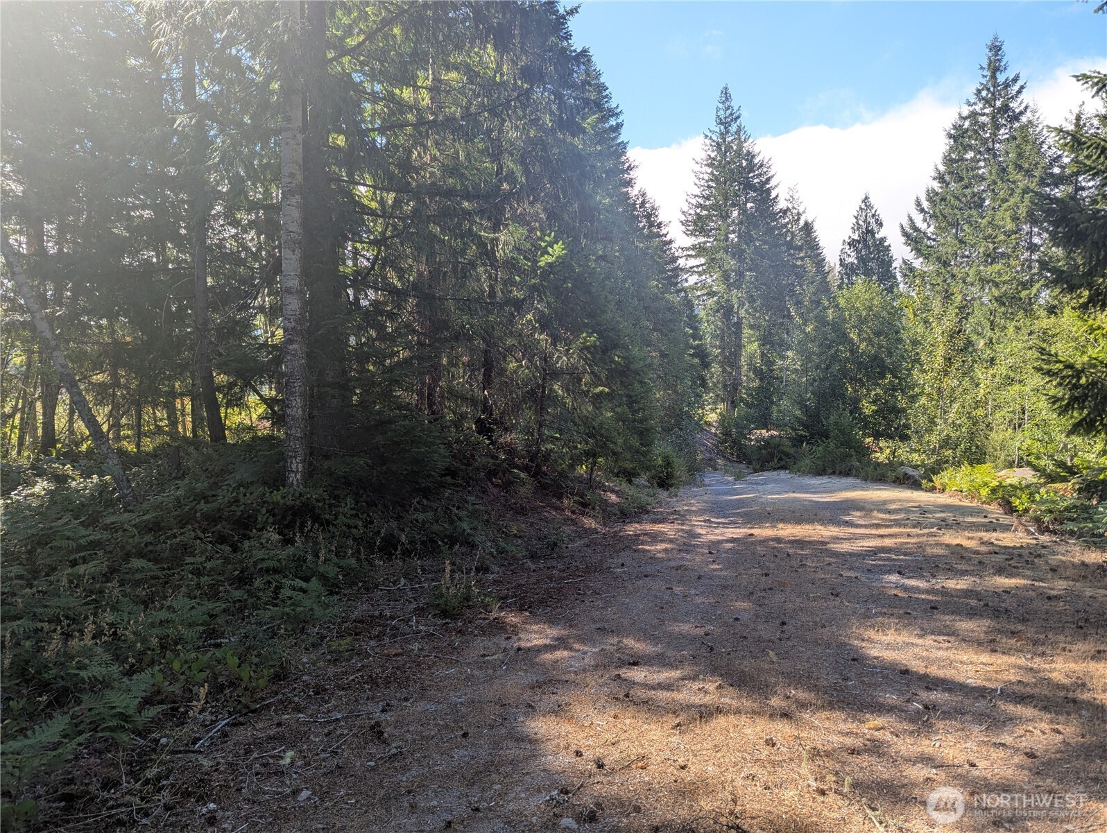 30 Nymark Drive Cougar WA 98616
