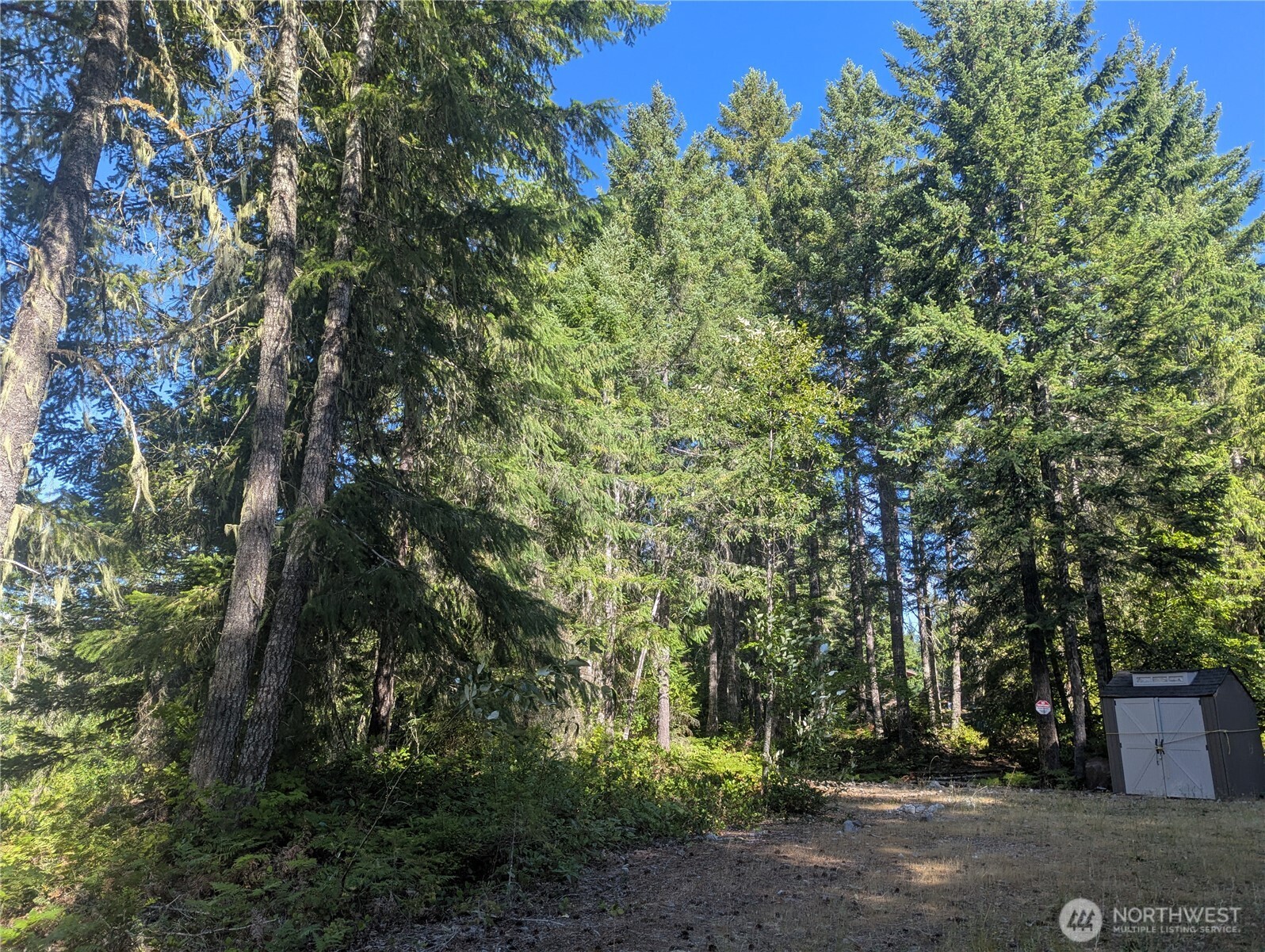 30 Nymark Drive Cougar WA 98616