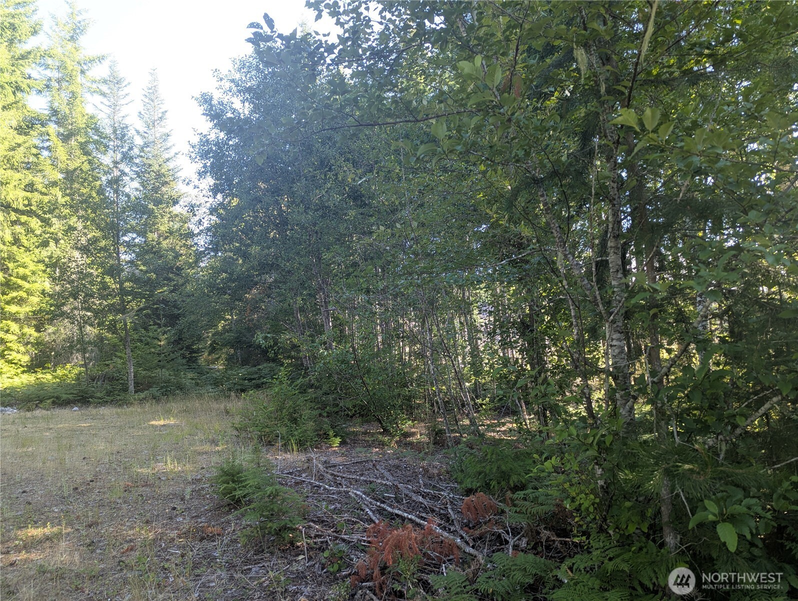 30 Nymark Drive Cougar WA 98616