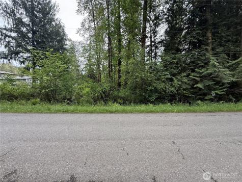 0 312th Avenue NE Carnation WA 98014