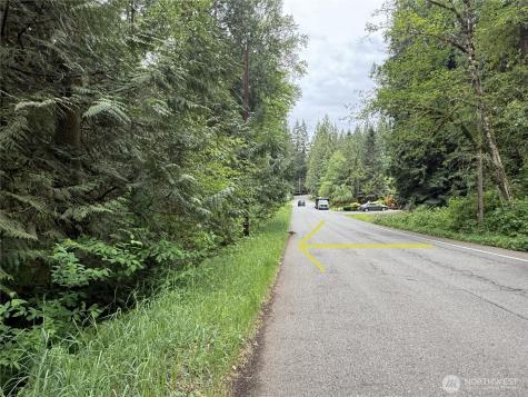 0 312th Avenue NE Carnation WA 98014