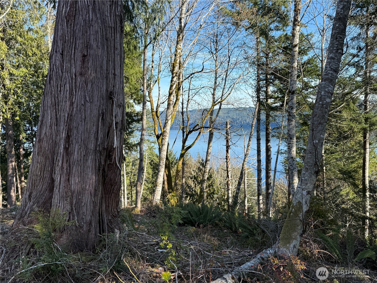 61 Devereaux Drive Lilliwaup WA 98555