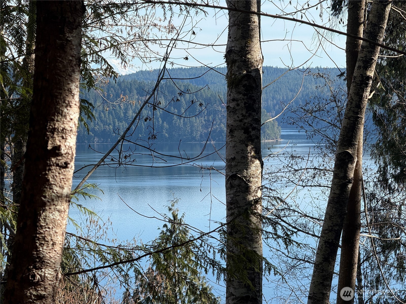 61 Devereaux Drive Lilliwaup WA 98555