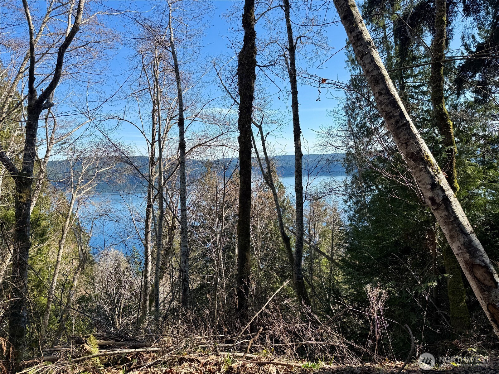 61 Devereaux Drive Lilliwaup WA 98555