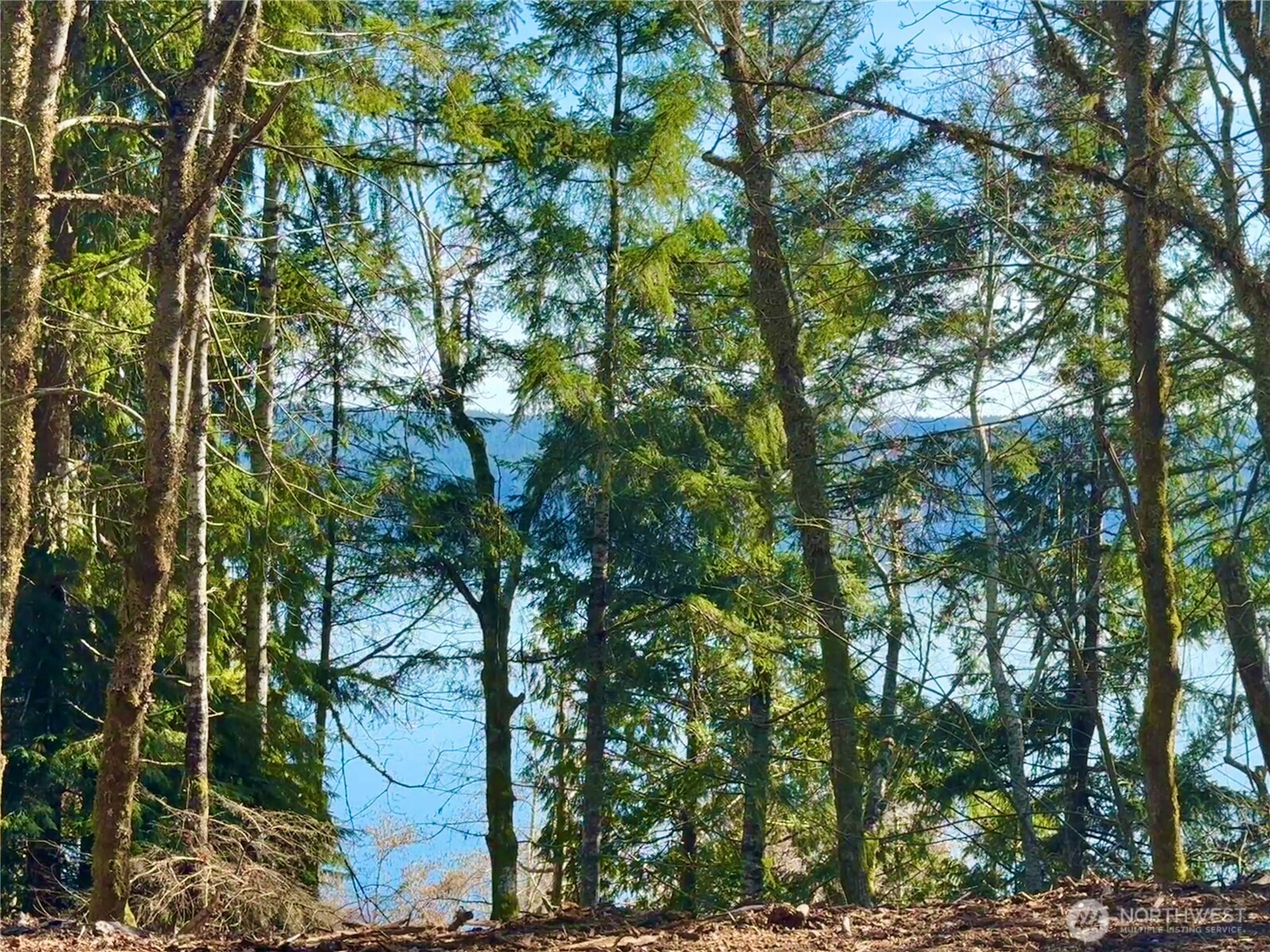 61 Devereaux Drive Lilliwaup WA 98555