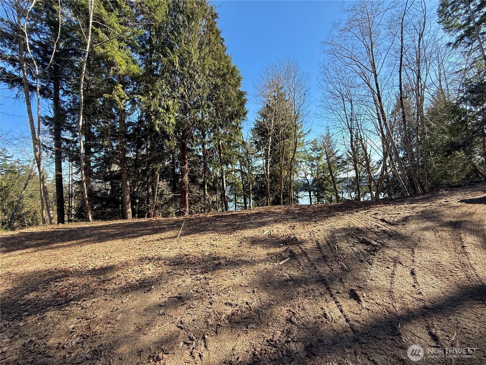61 Devereaux Drive Lilliwaup WA 98555