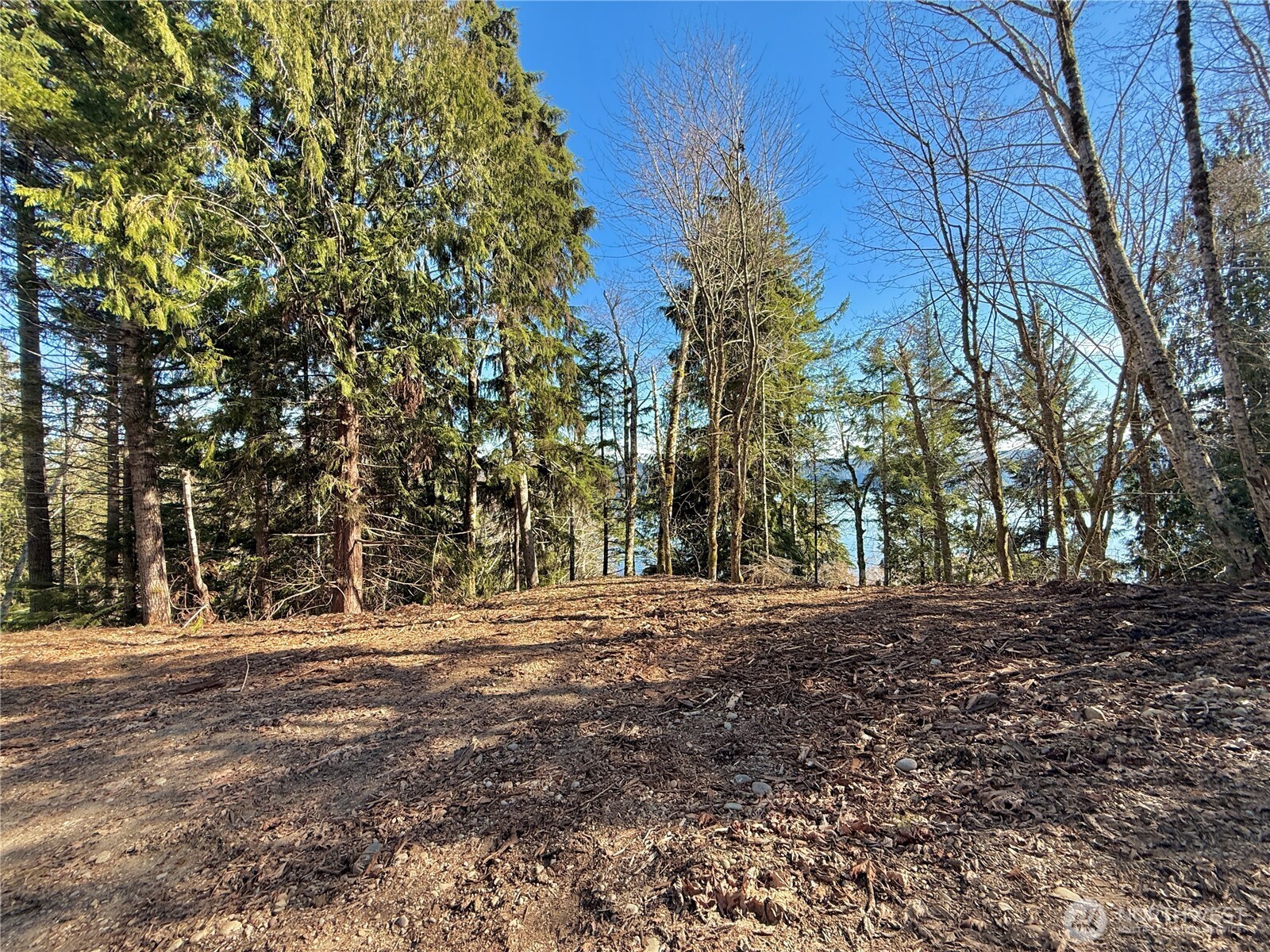 61 Devereaux Drive Lilliwaup WA 98555