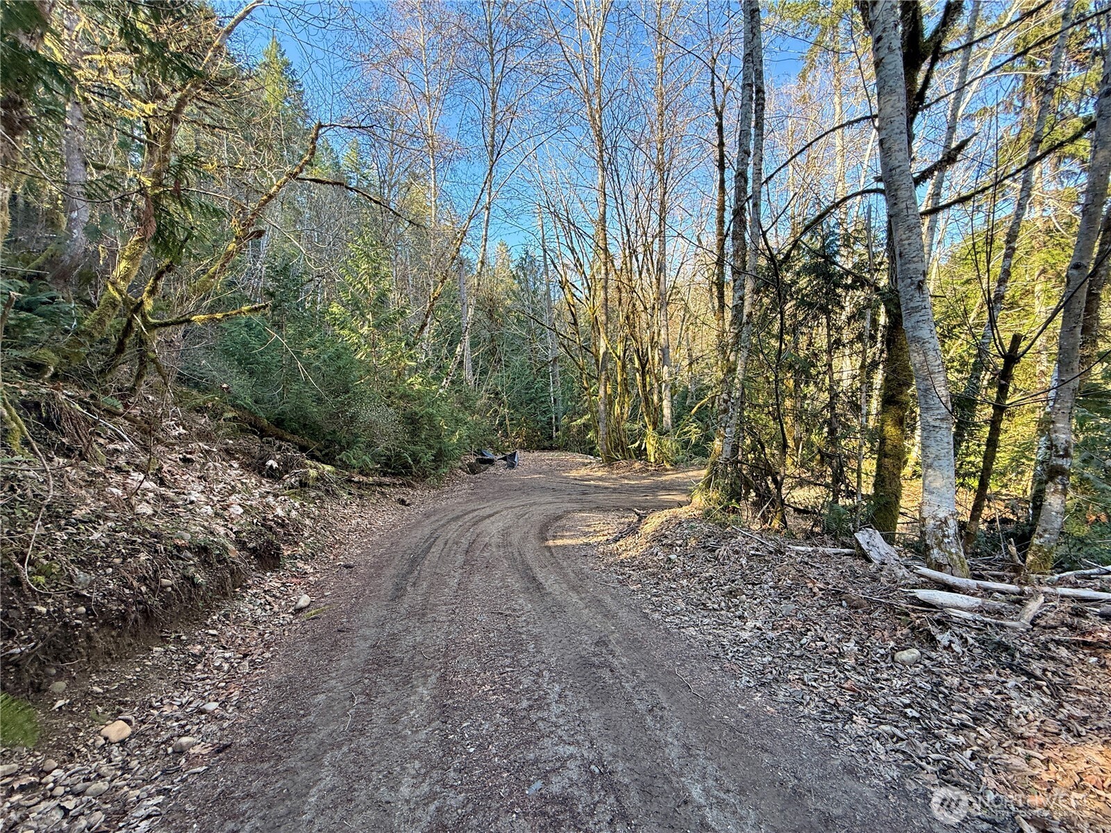 61 Devereaux Drive Lilliwaup WA 98555