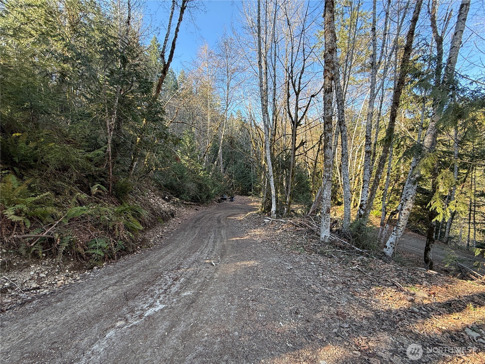 61 Devereaux Drive Lilliwaup WA 98555