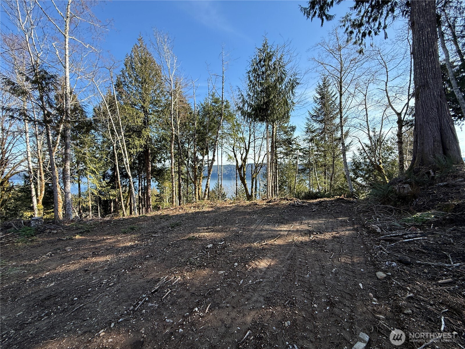 61 Devereaux Drive Lilliwaup WA 98555