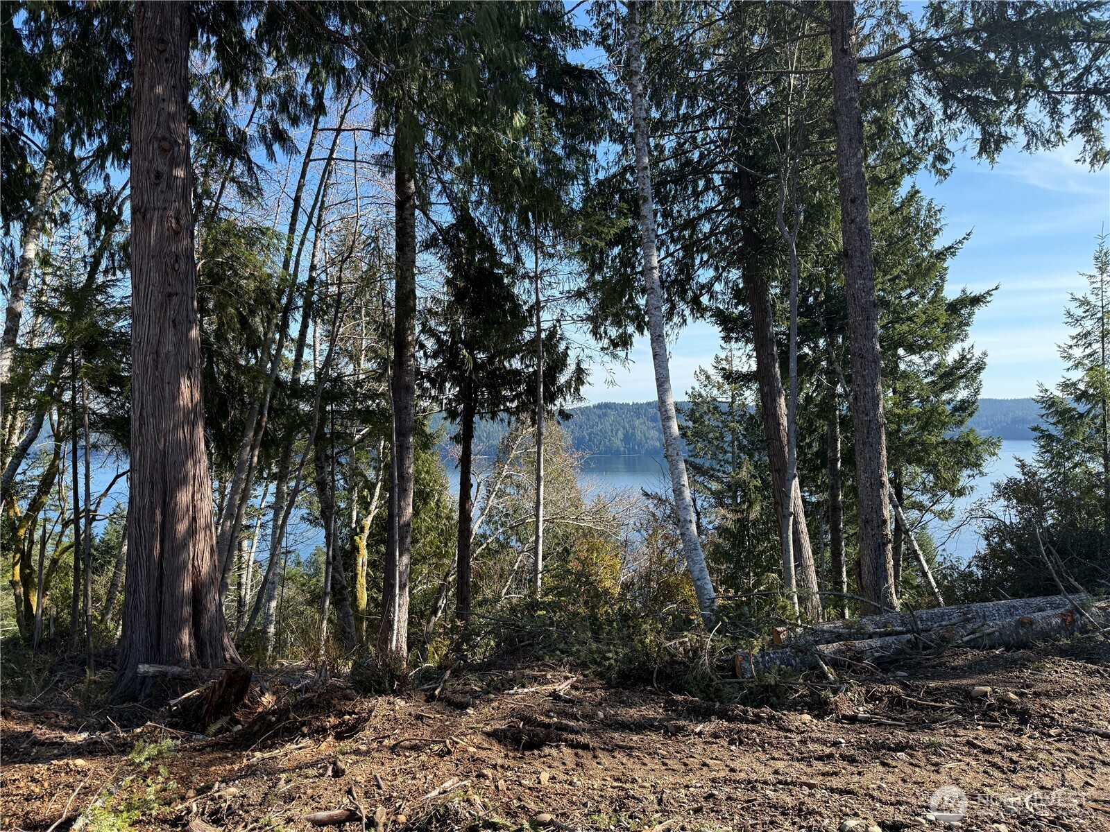 61 Devereaux Drive Lilliwaup WA 98555