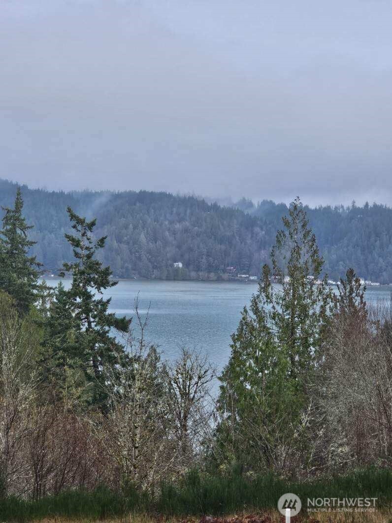 211 Linda Vista Court Union WA 98592