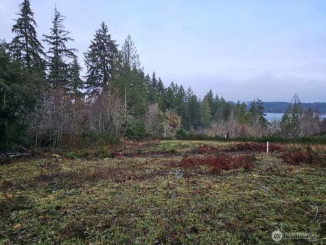 211 Linda Vista Court Union WA 98592