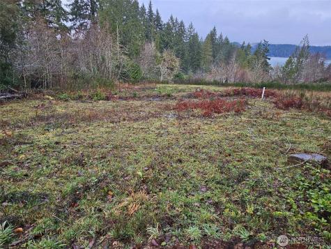211 Linda Vista Court Union WA 98592