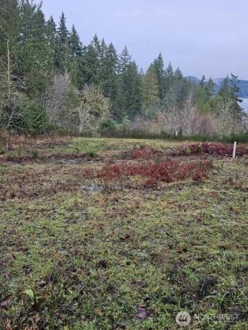 211 Linda Vista Court Union WA 98592