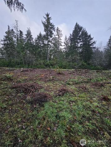211 Linda Vista Court Union WA 98592