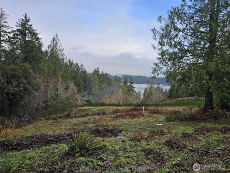 211 Linda Vista Court Union WA 98592