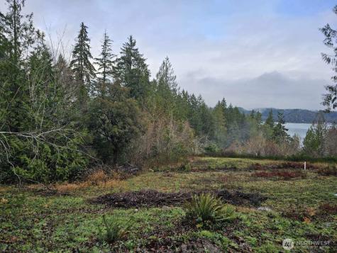 211 Linda Vista Court Union WA 98592
