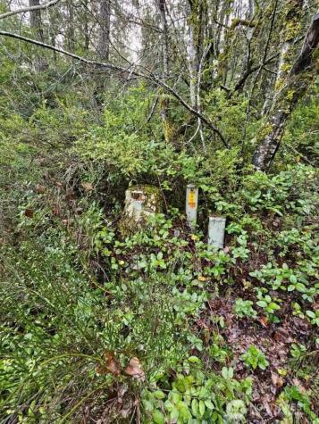 211 Linda Vista Court Union WA 98592