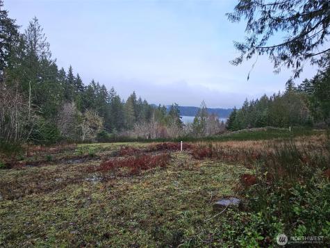 211 Linda Vista Court Union WA 98592