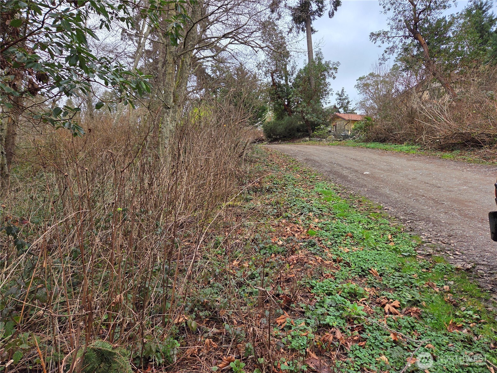 103 Whidbey Island Drive Hat Island WA 98206