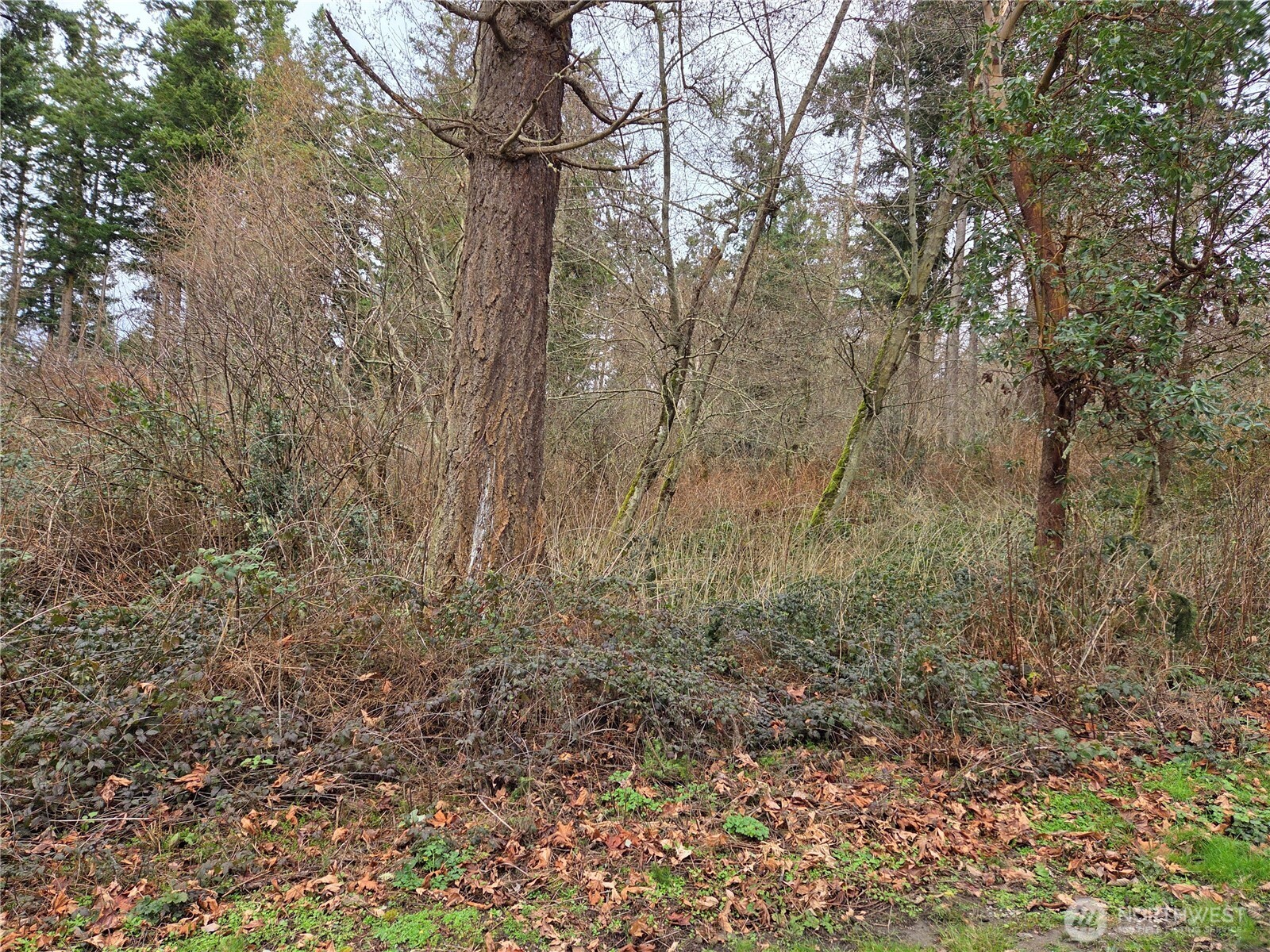 103 Whidbey Island Drive Hat Island WA 98206