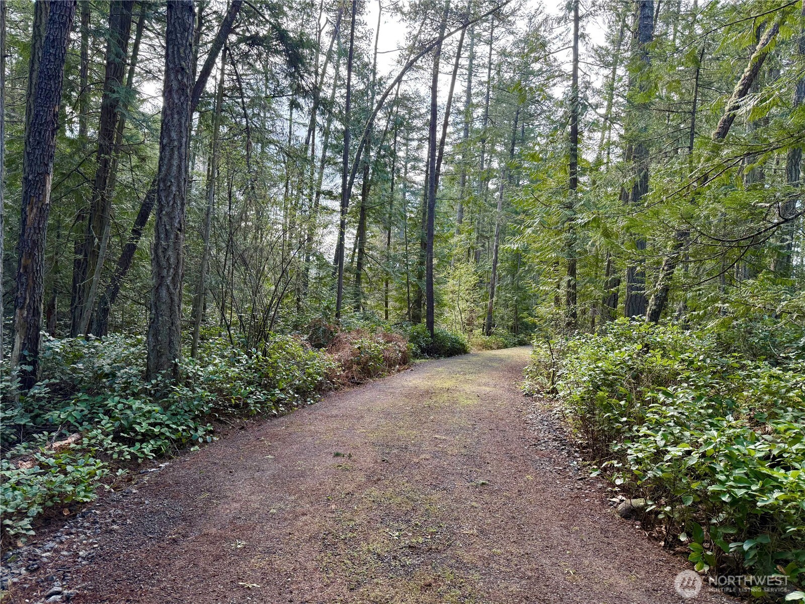 1111 Tarte Road Friday Harbor WA 98250