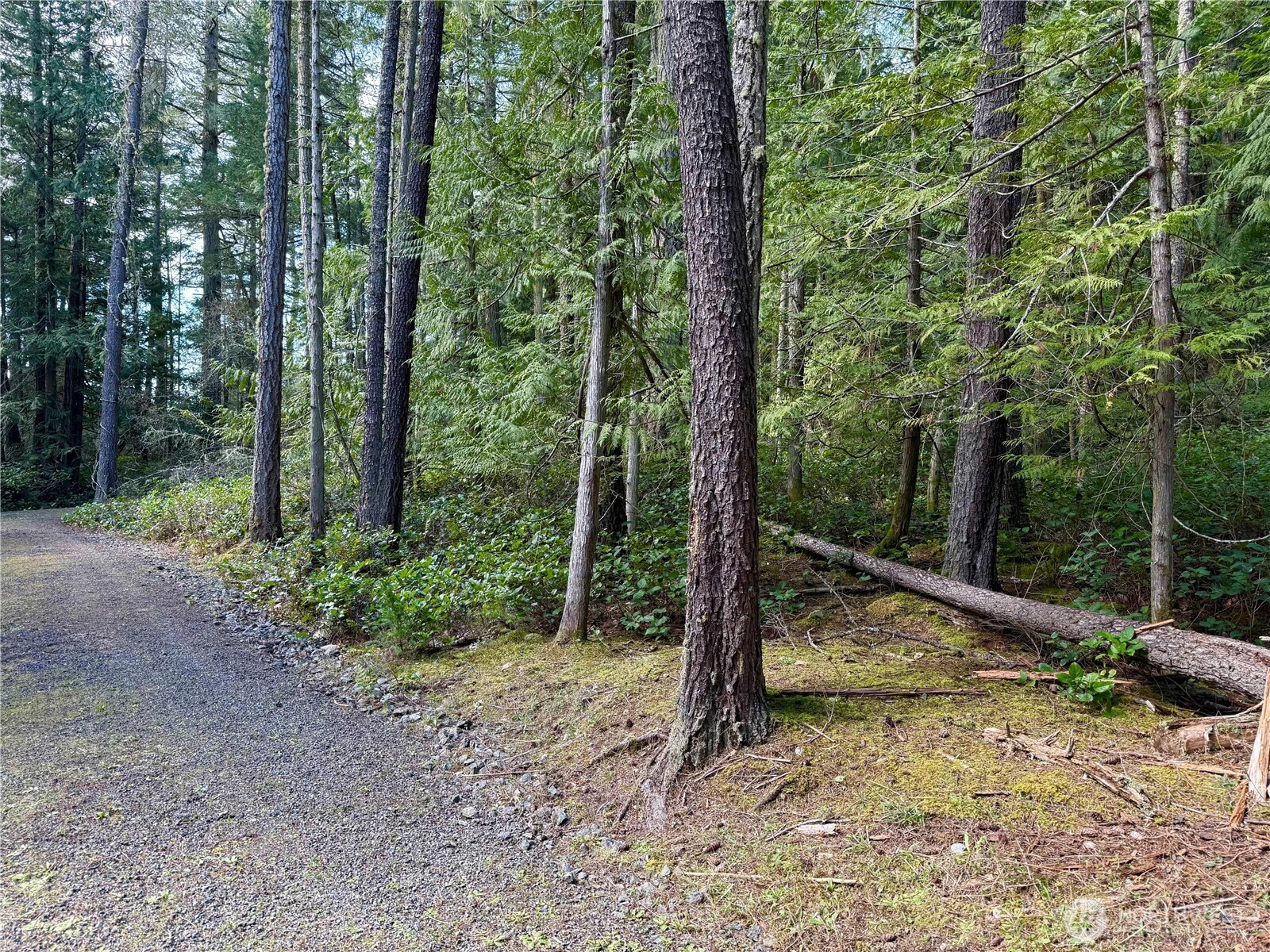 1111 Tarte Road Friday Harbor WA 98250
