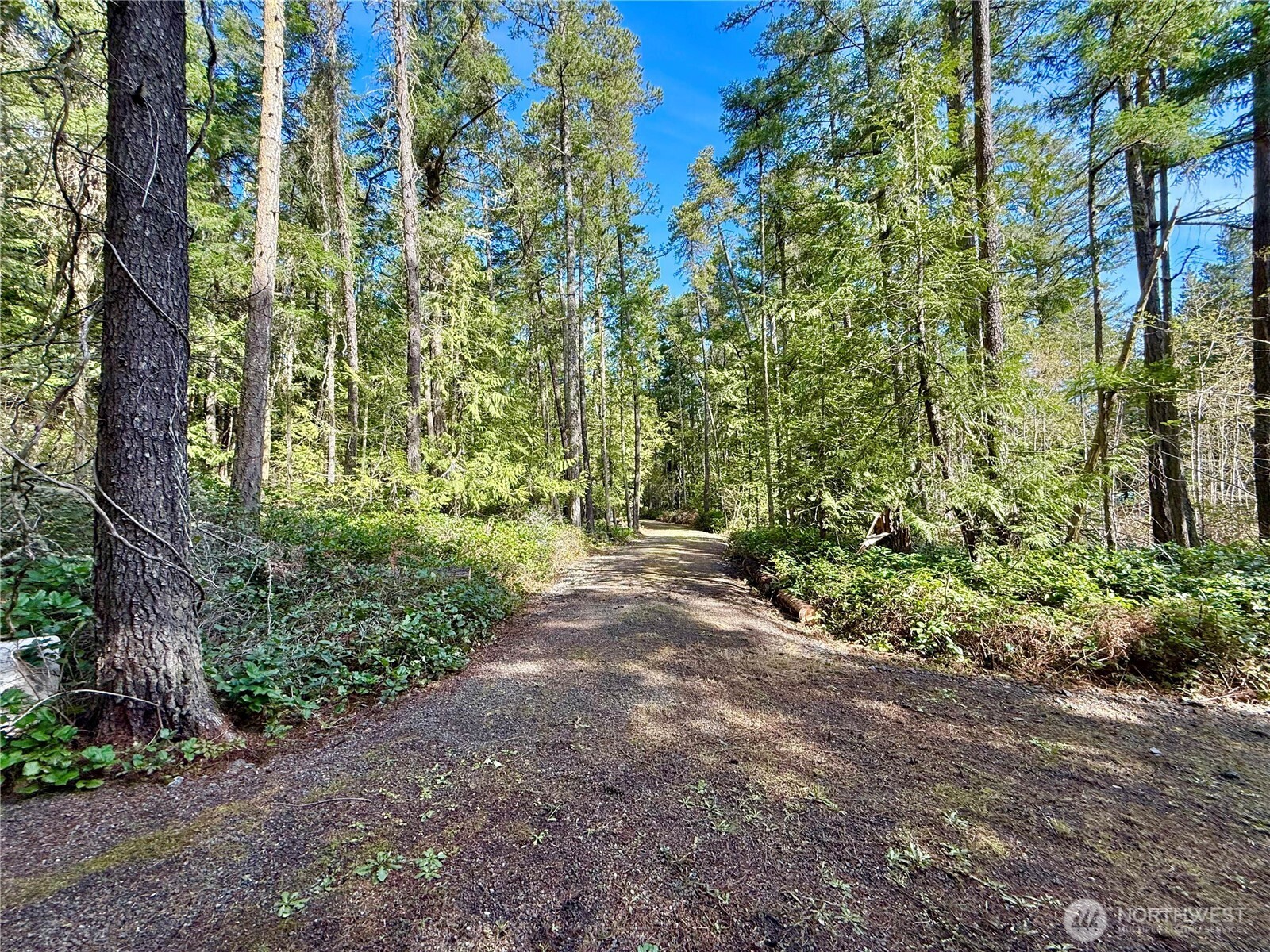 1111 Tarte Road Friday Harbor WA 98250