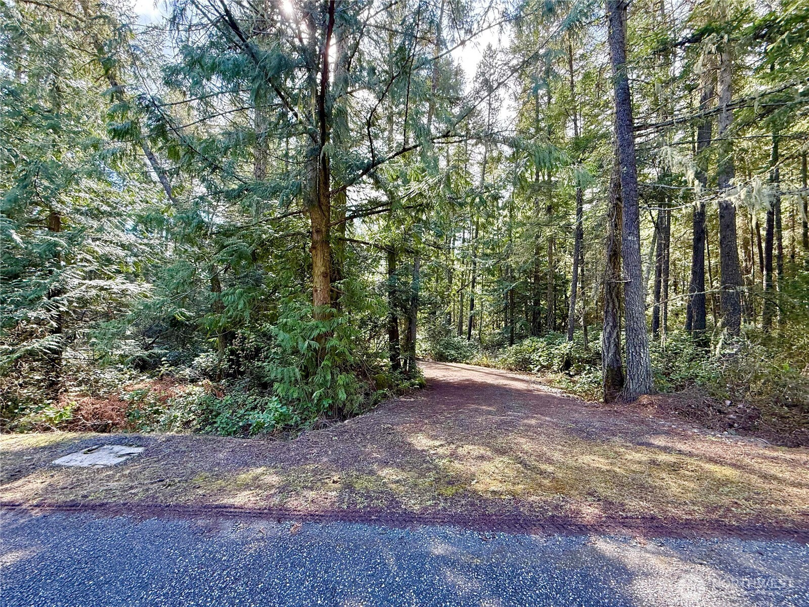 1111 Tarte Road Friday Harbor WA 98250