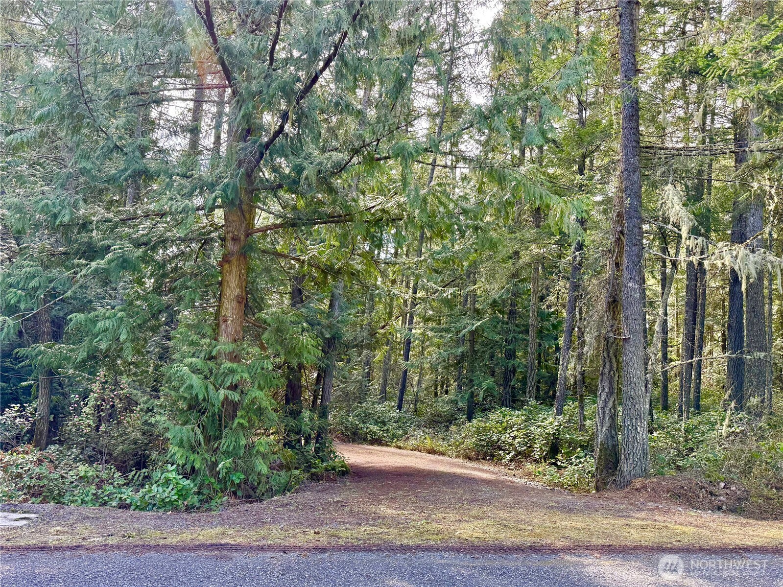 1111 Tarte Road Friday Harbor WA 98250