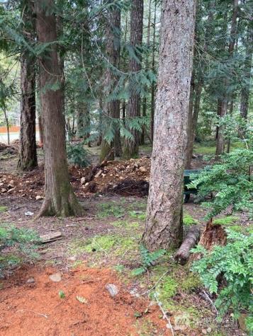 101 N Mount Jupiter Drive Hoodsport WA 98548