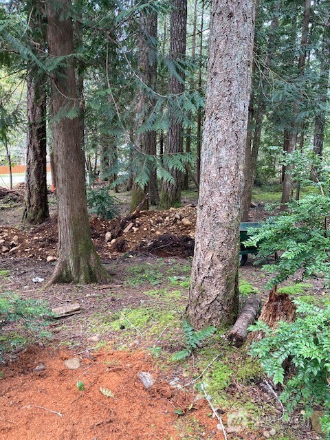 101 N Mt. Jupiter Drive Hoodsport WA 98548